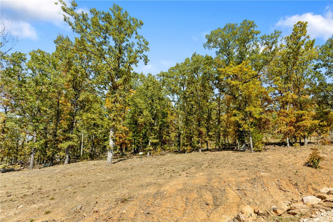 Property Photo:  Lot 22 Restore Ridge  AR 72601 