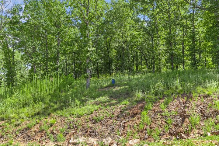 Property Photo: Lot 22 Restore Ridge AR 72601