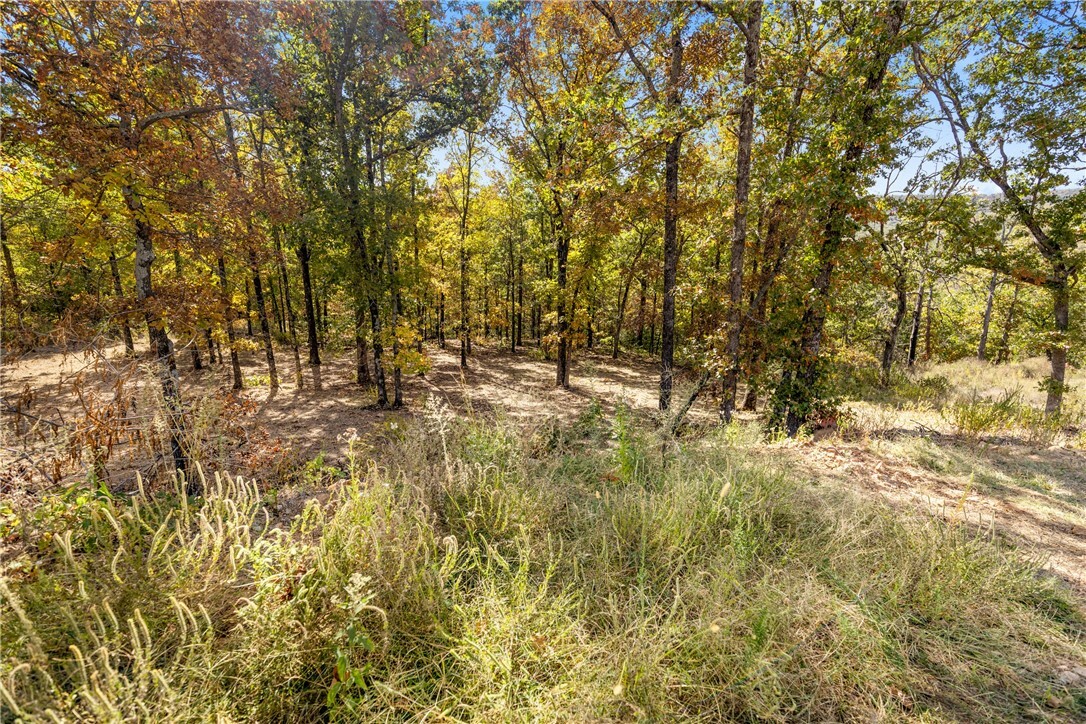 Property Photo:  Lot 19 Restore Ridge  AR 72601 