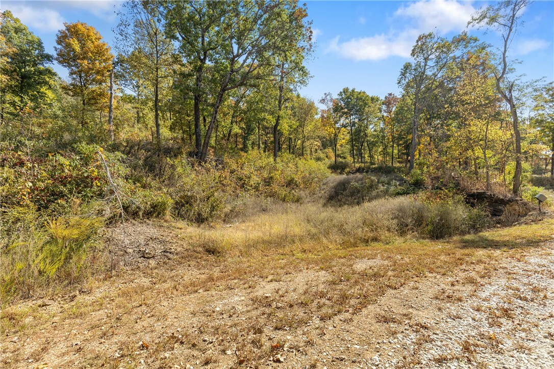 Property Photo:  Lot 47 Restore Ridge  AR 72601 