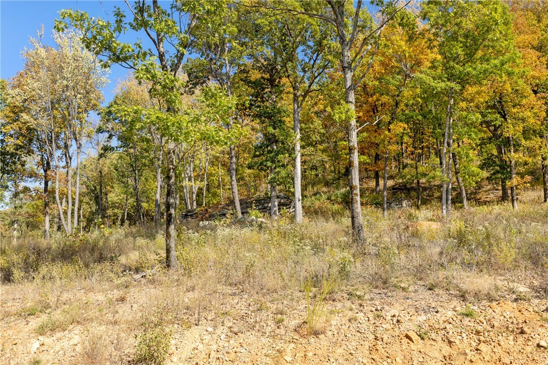 Property Photo:  Lot 55 Restore Ridge  AR 72601 