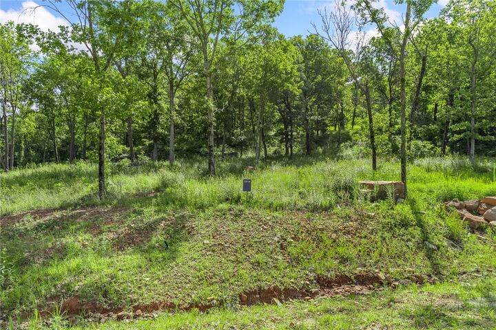 Property Photo: Lot 55 Restore Ridge AR 72601