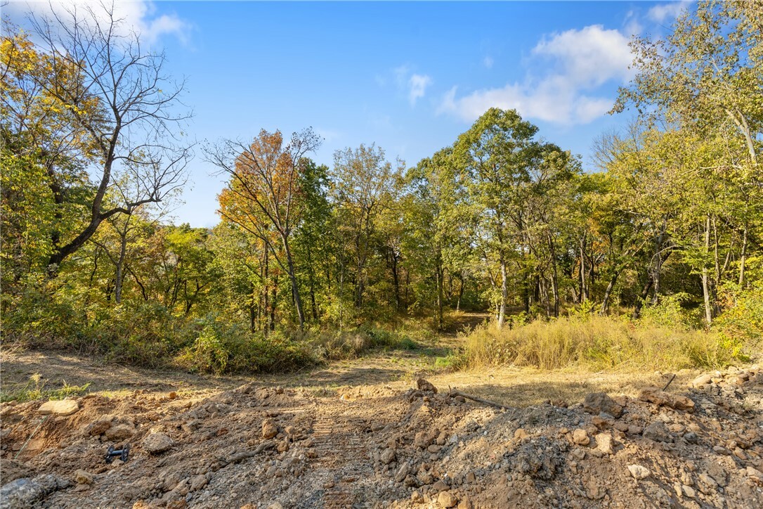 Property Photo:  Lot 34 Peaceful Place  AR 72601 