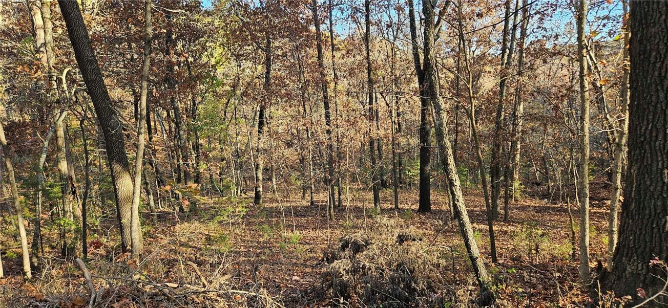 Property Photo:  Tbd Wooten Rd Road  AR 72774 