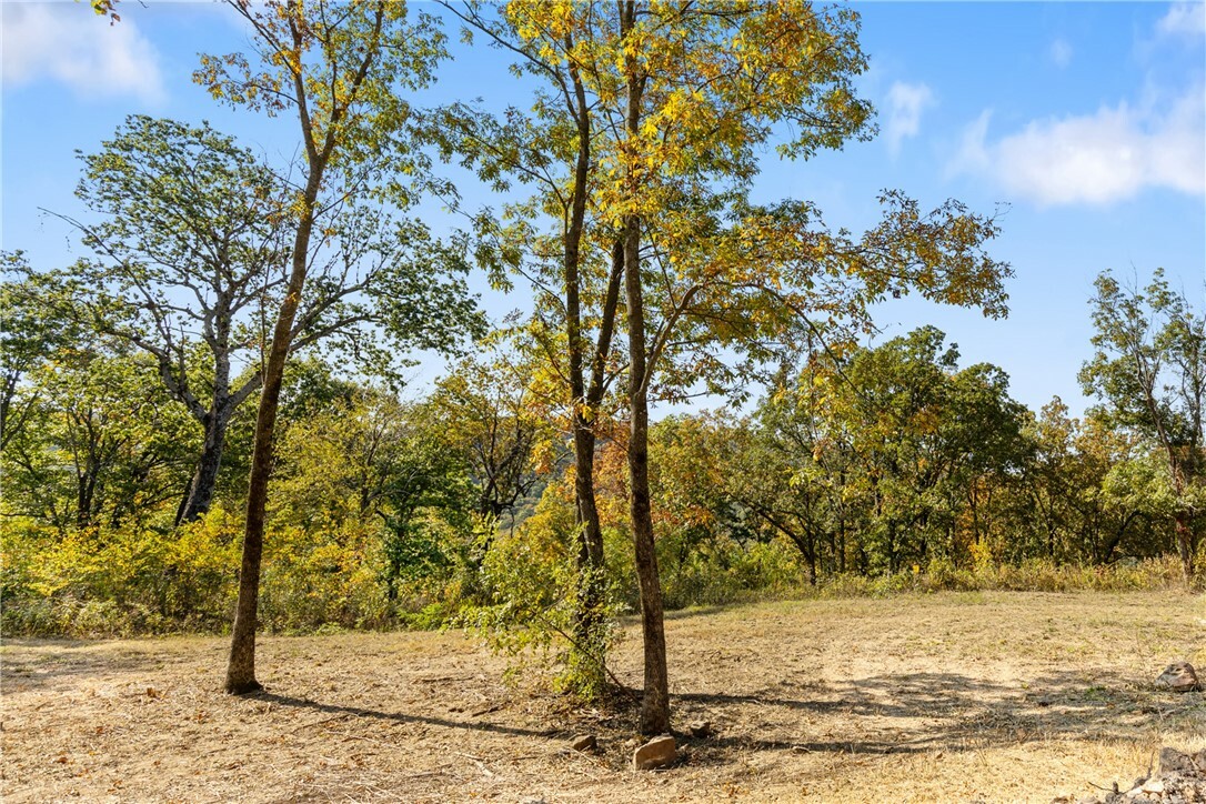 Property Photo:  Lot 32 Peaceful Place  AR 72601 