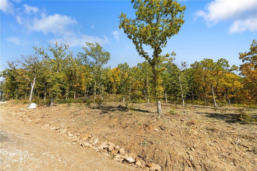 Property Photo:  Lot 14 Peaceful Place  AR 72601 