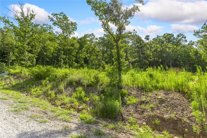 Property Photo: Lot 14 Peaceful Place AR 72601