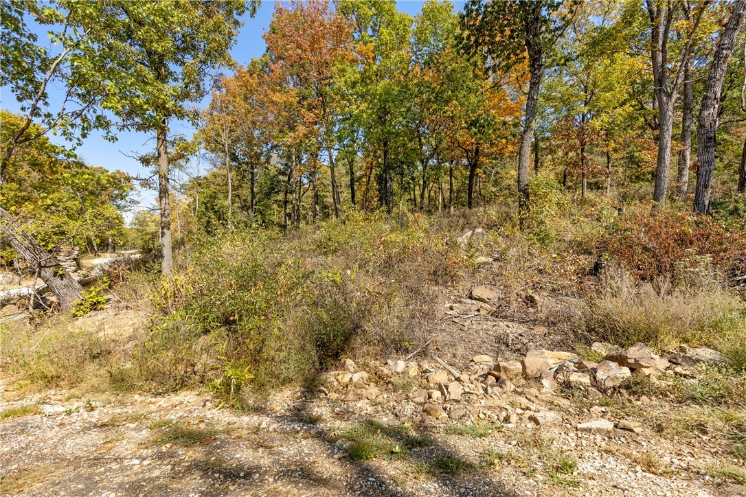 Property Photo:  Lot 49 Restore Ridge  AR 72601 