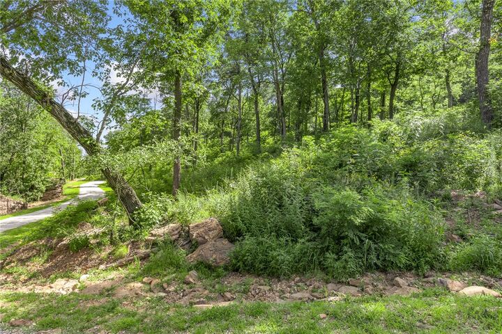Property Photo: Lot 49 Restore Ridge AR 72601