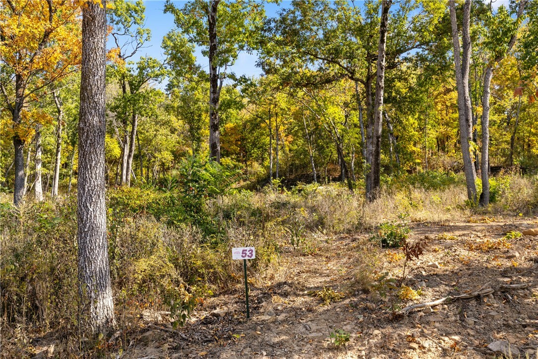 Property Photo:  Lot 53 Restore Ridge  AR 72601 