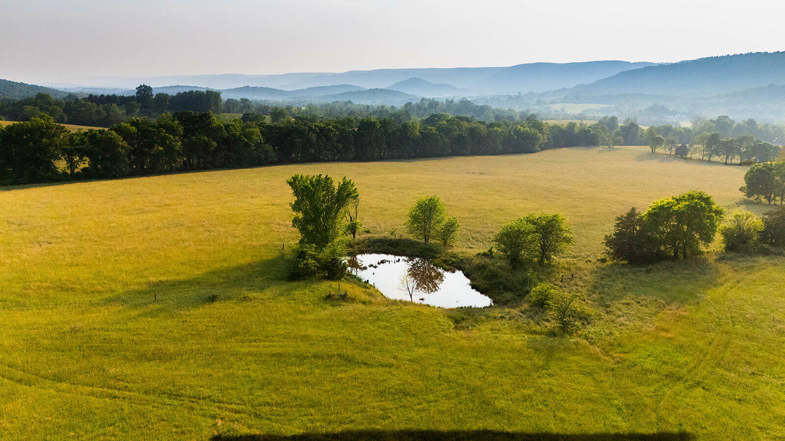 Property Photo: 188 Marion Agee Road TN 37367