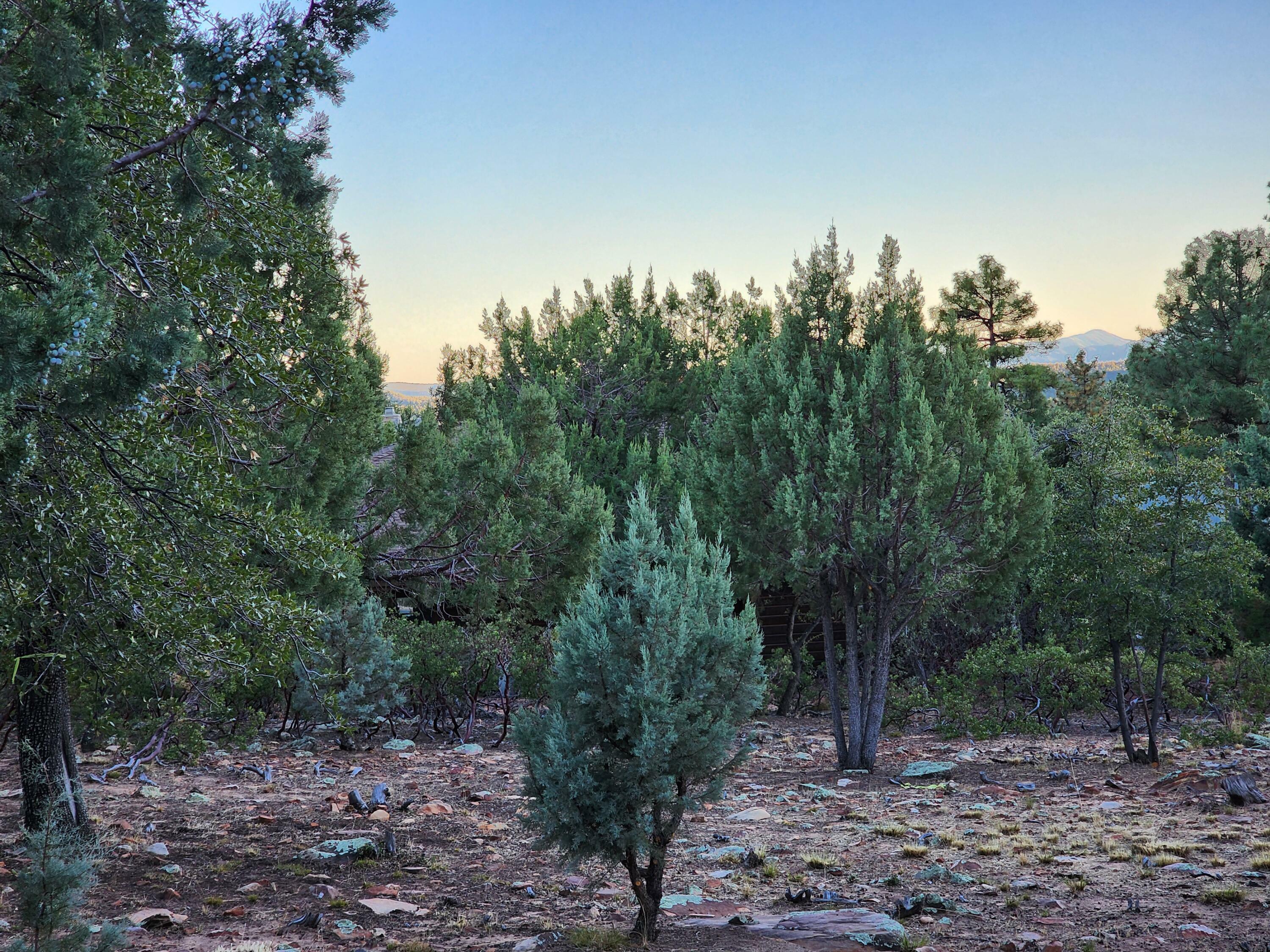 Property Photo:  148 Buffalo Run  AZ 85544 