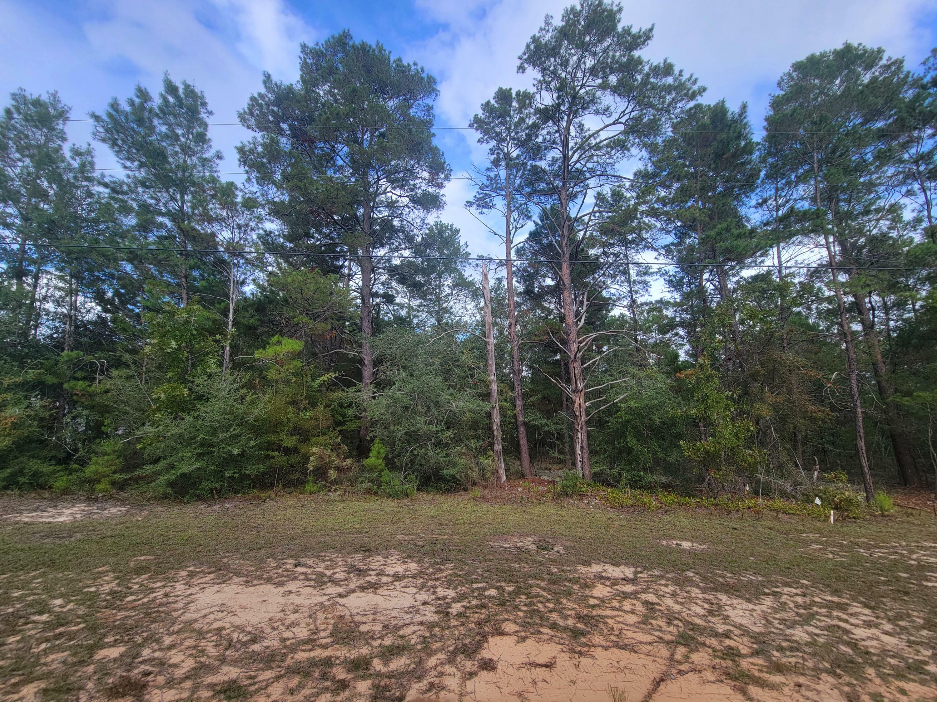 Lot 6 & 14 W May Lilly Court  Defuniak Springs FL 32433 photo