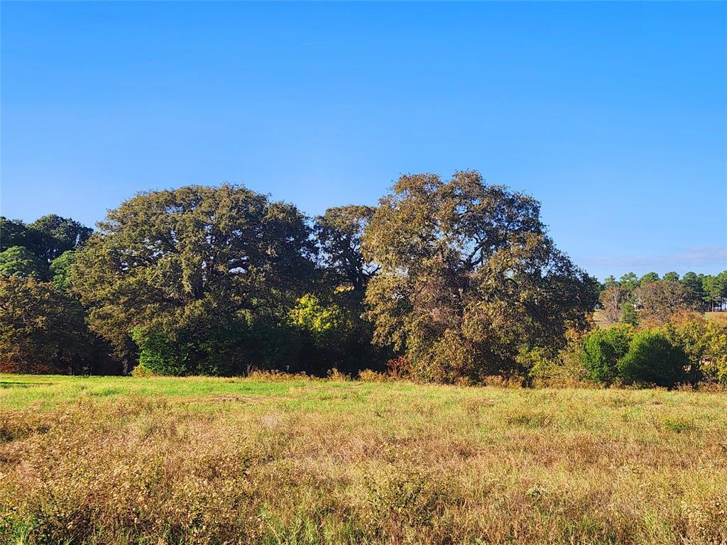Property Photo: Lot 155 Lago Vista Drive TX 75752