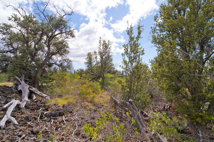 Property Photo:  Kahili Blvd  HI 96737 