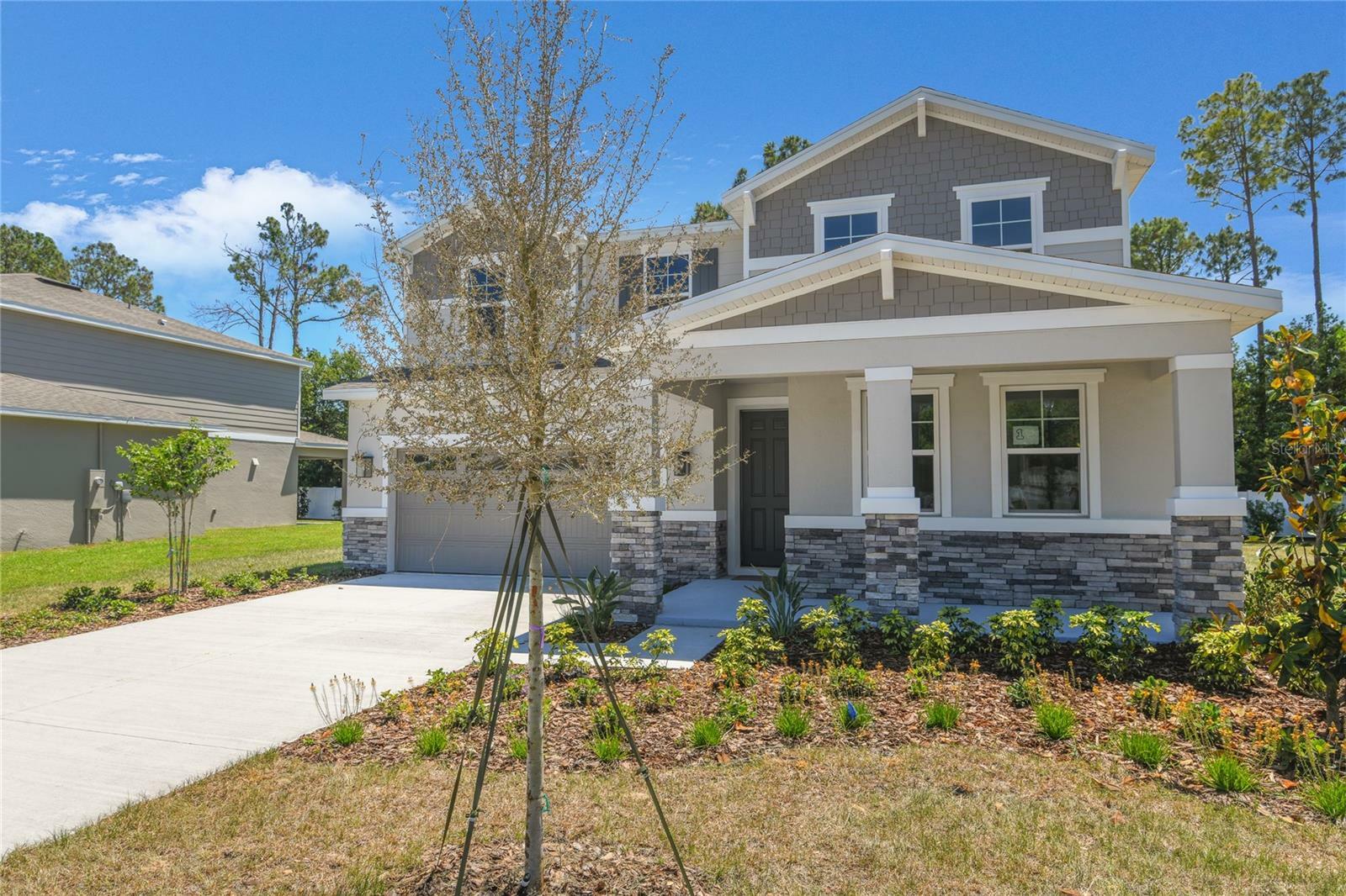3716 Deer Ridge Drive  Mount Dora FL 32757 photo