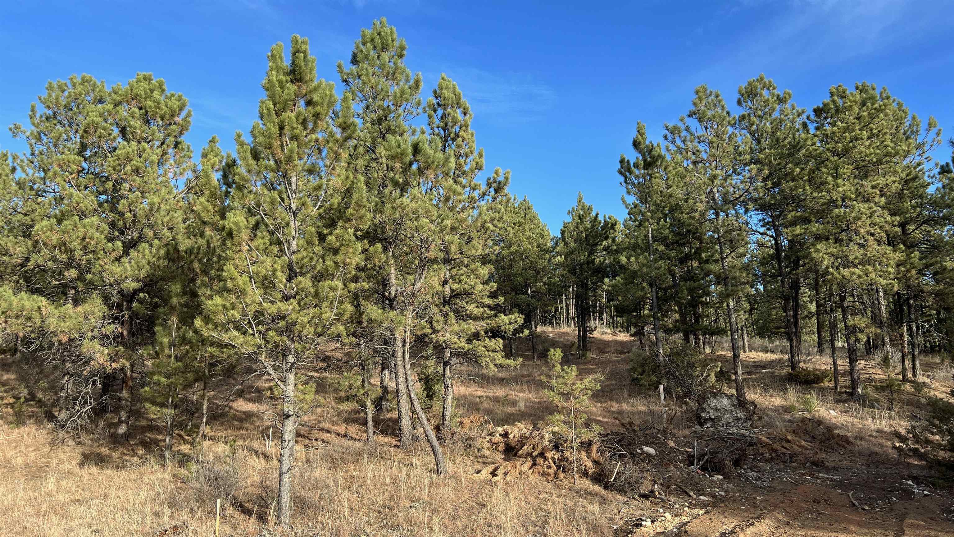 Property Photo:  Lot 11 Northview Court  SD 57747 