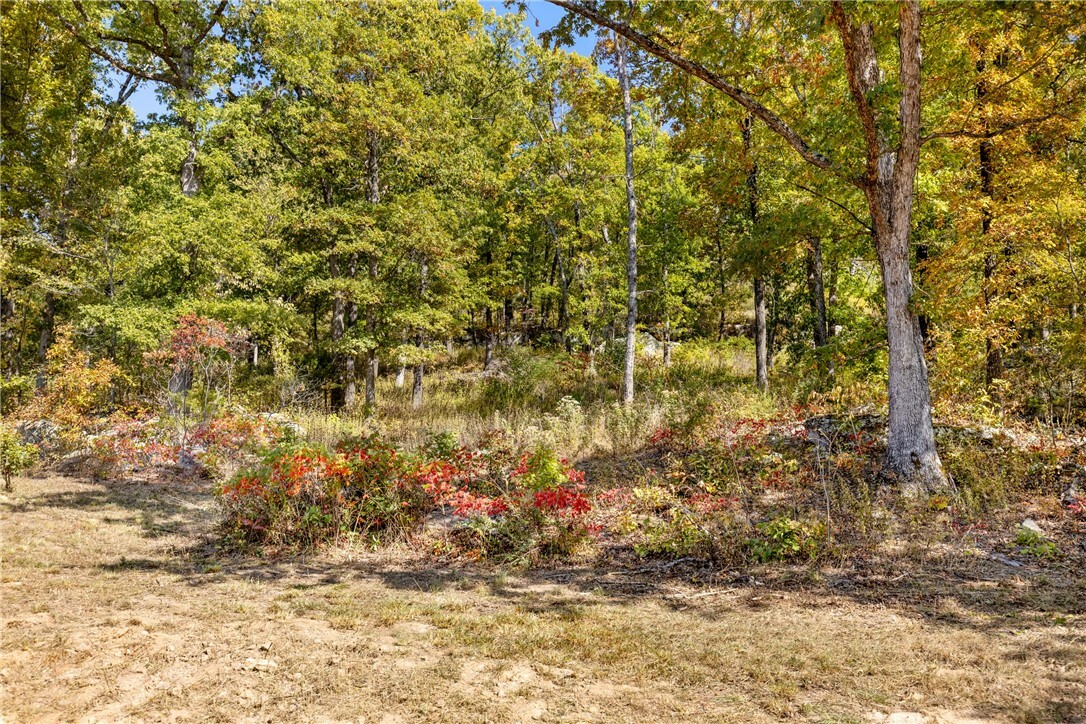 Property Photo:  Lot 61 Restore Ridge  AR 72601 