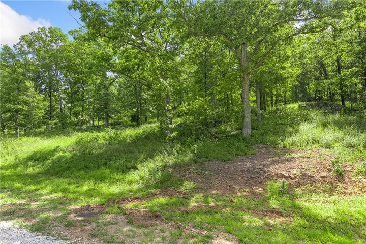 Property Photo: Lot 61 Restore Ridge AR 72601