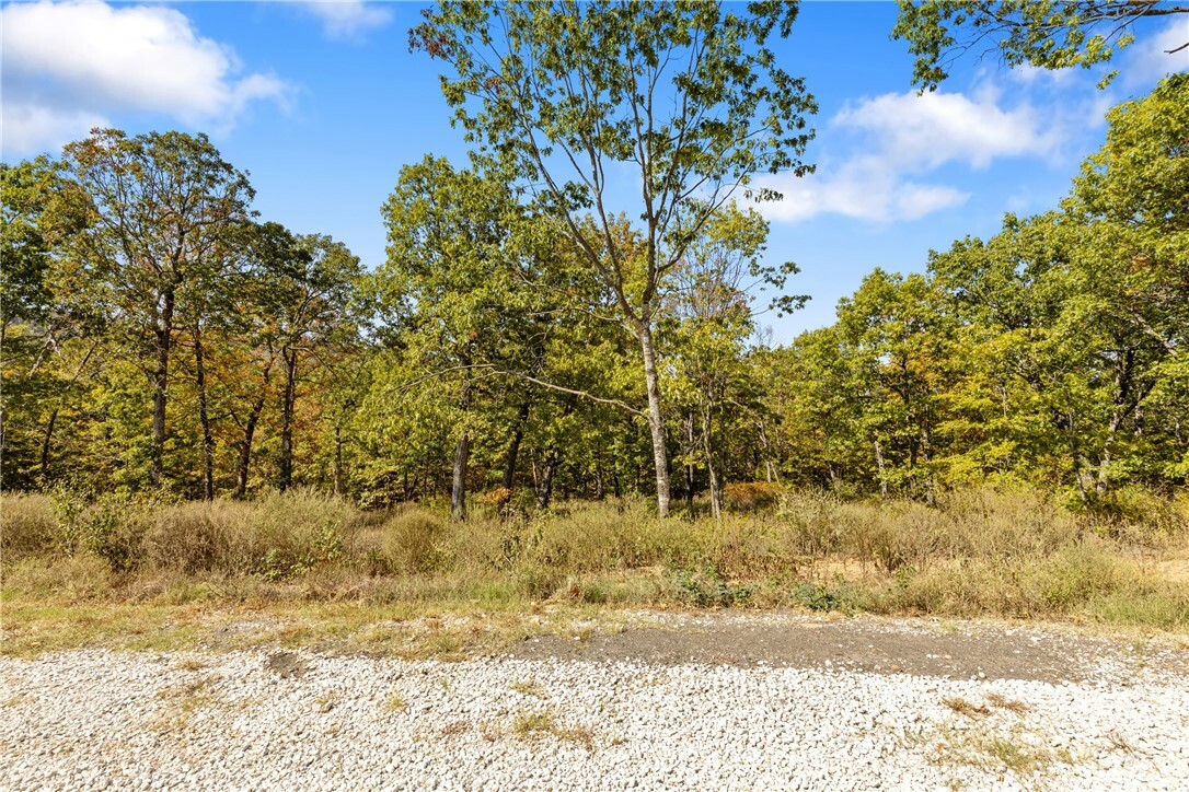 Property Photo:  Lot 84 Restore Ridge  AR 72601 