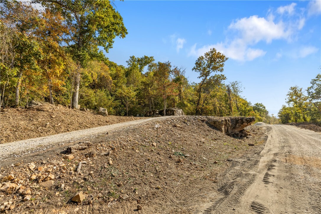 Property Photo:  Lot 109 Peaceful Place  AR 72601 