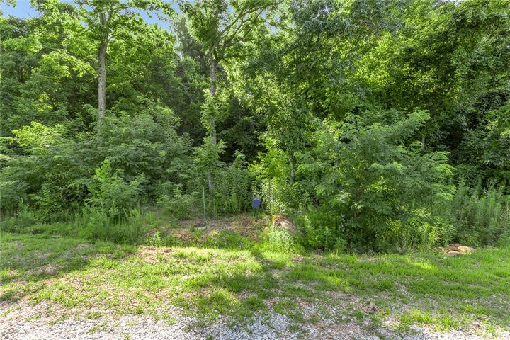 Property Photo: Lot 112 Peaceful Place AR 72601