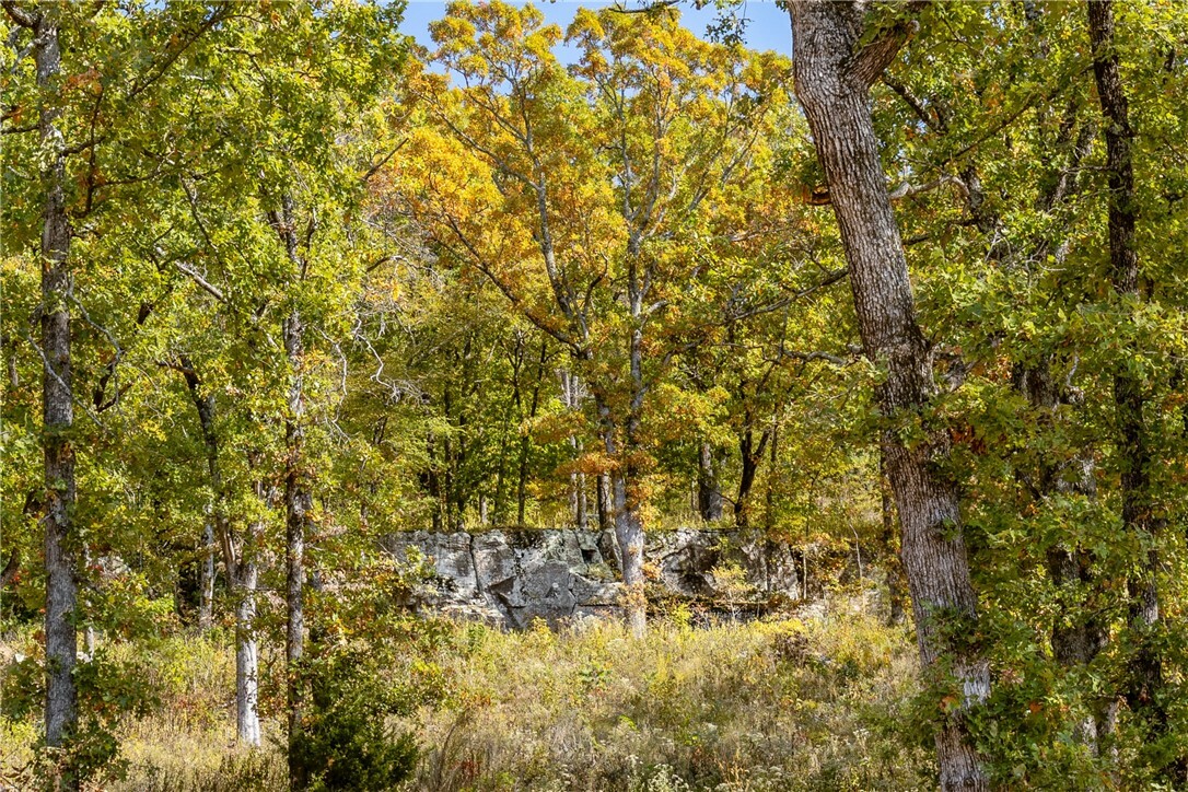 Property Photo:  Lot 62 Restore Ridge  AR 72601 