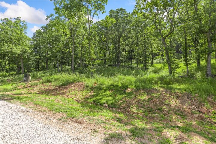 Property Photo: Lot 62 Restore Ridge AR 72601