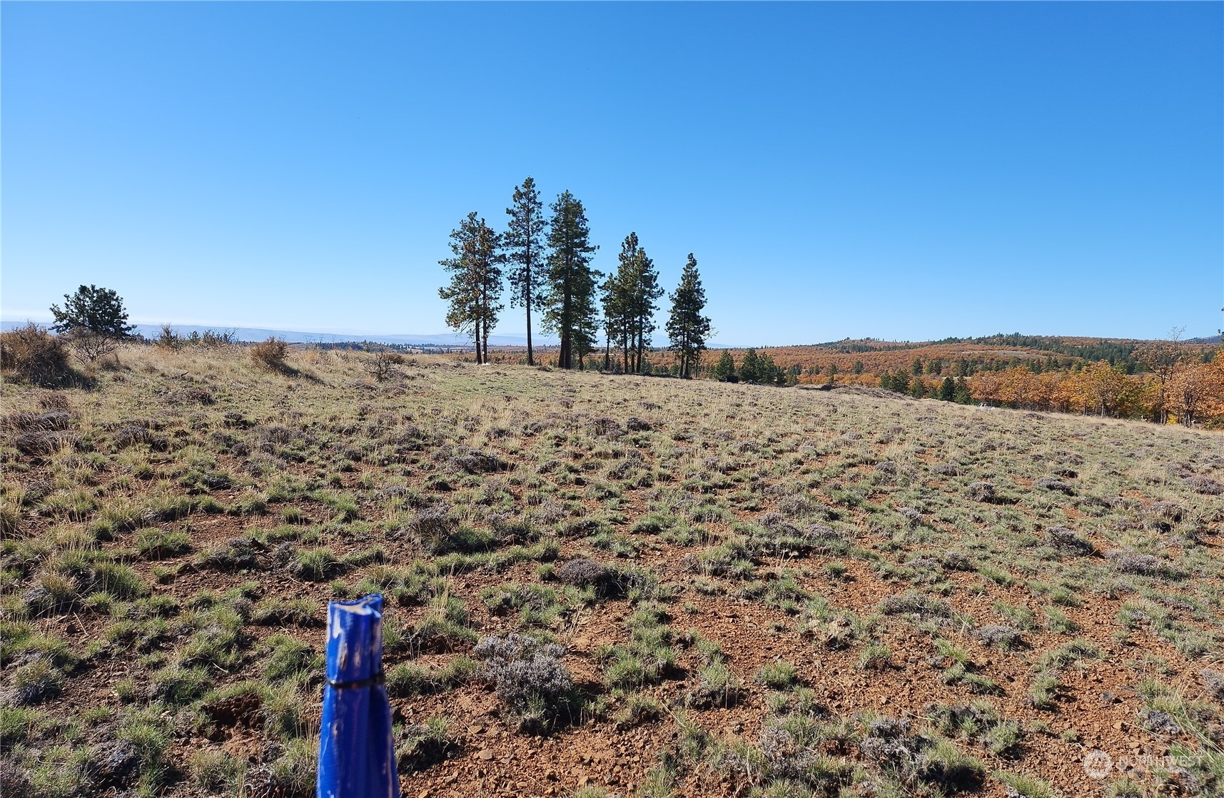 0 Lot 36 Bluebird Ridge #1 Nore  Goldendale WA 98620 photo