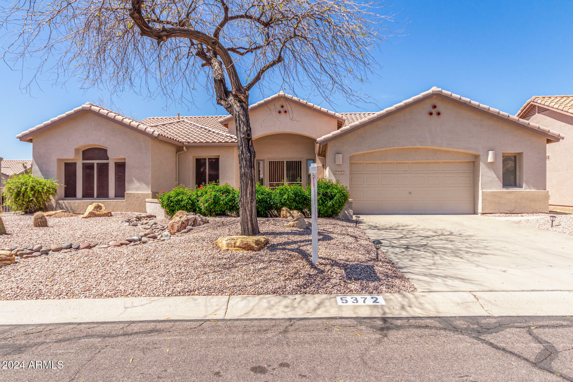 Property Photo:  5372 S Cat Claw Drive  AZ 85118 