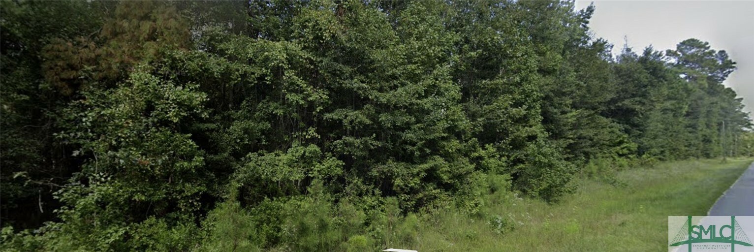 Property Photo:  Tract 1 Old Gress Island Road  GA 31320 