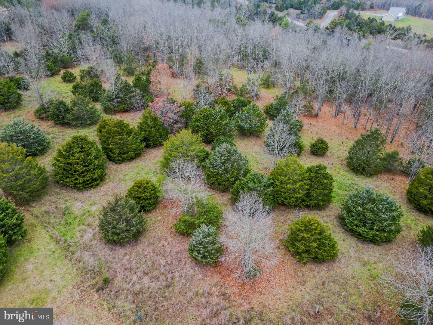 Property Photo:  Lot 26 Bantry Way  WV 26833 