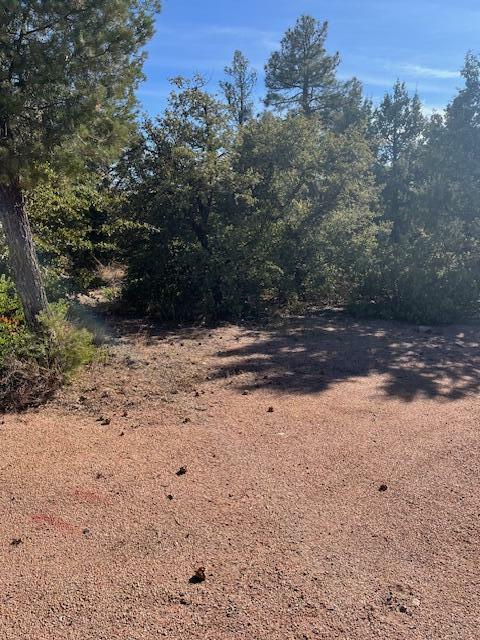 Lot 8 S Forest Ridge Court  Payson AZ 85541 photo