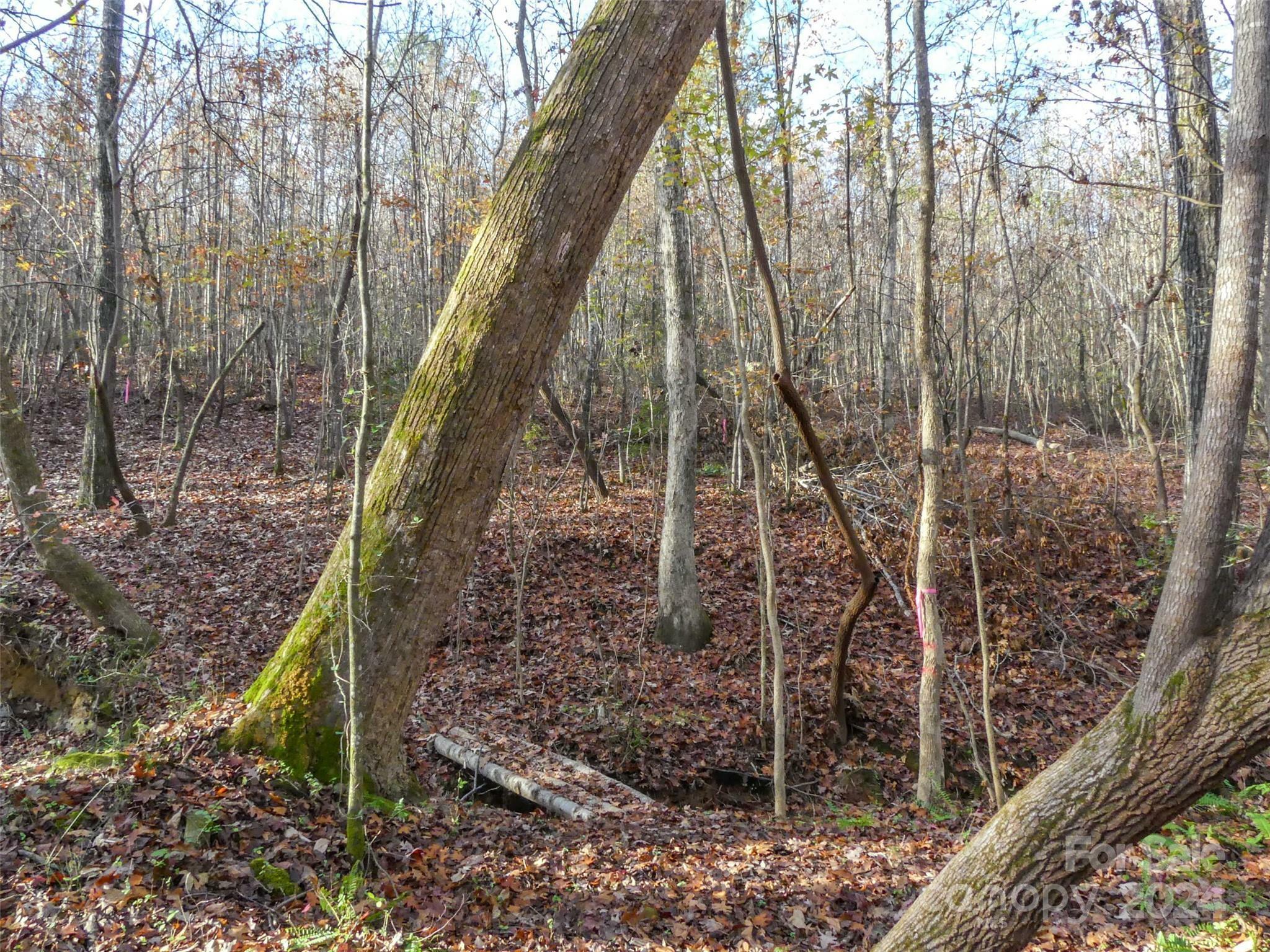 Property Photo:  0 Stateline Road  NC 28114 