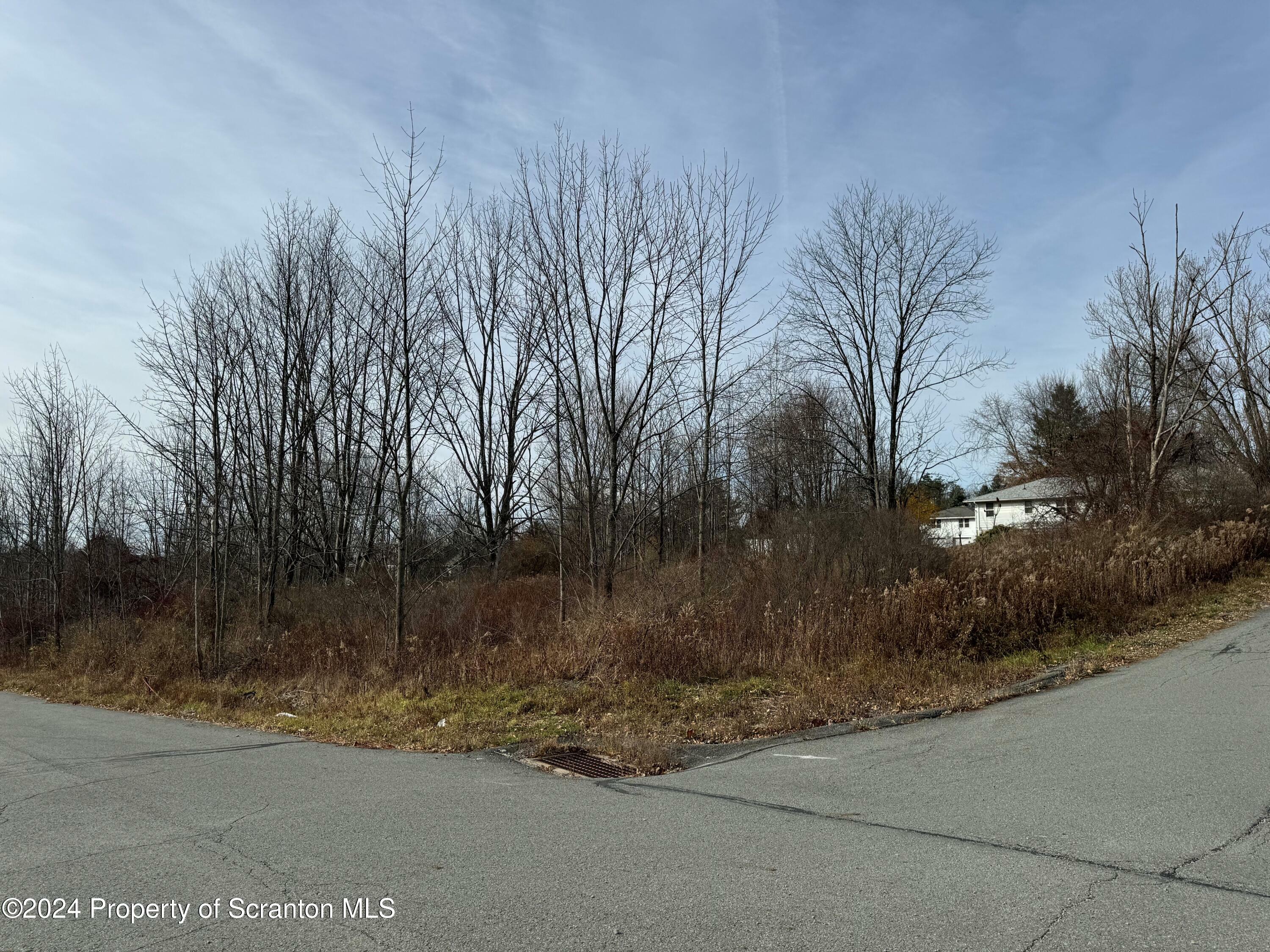 Hemlock Drive  Scott Twp PA 18411 photo