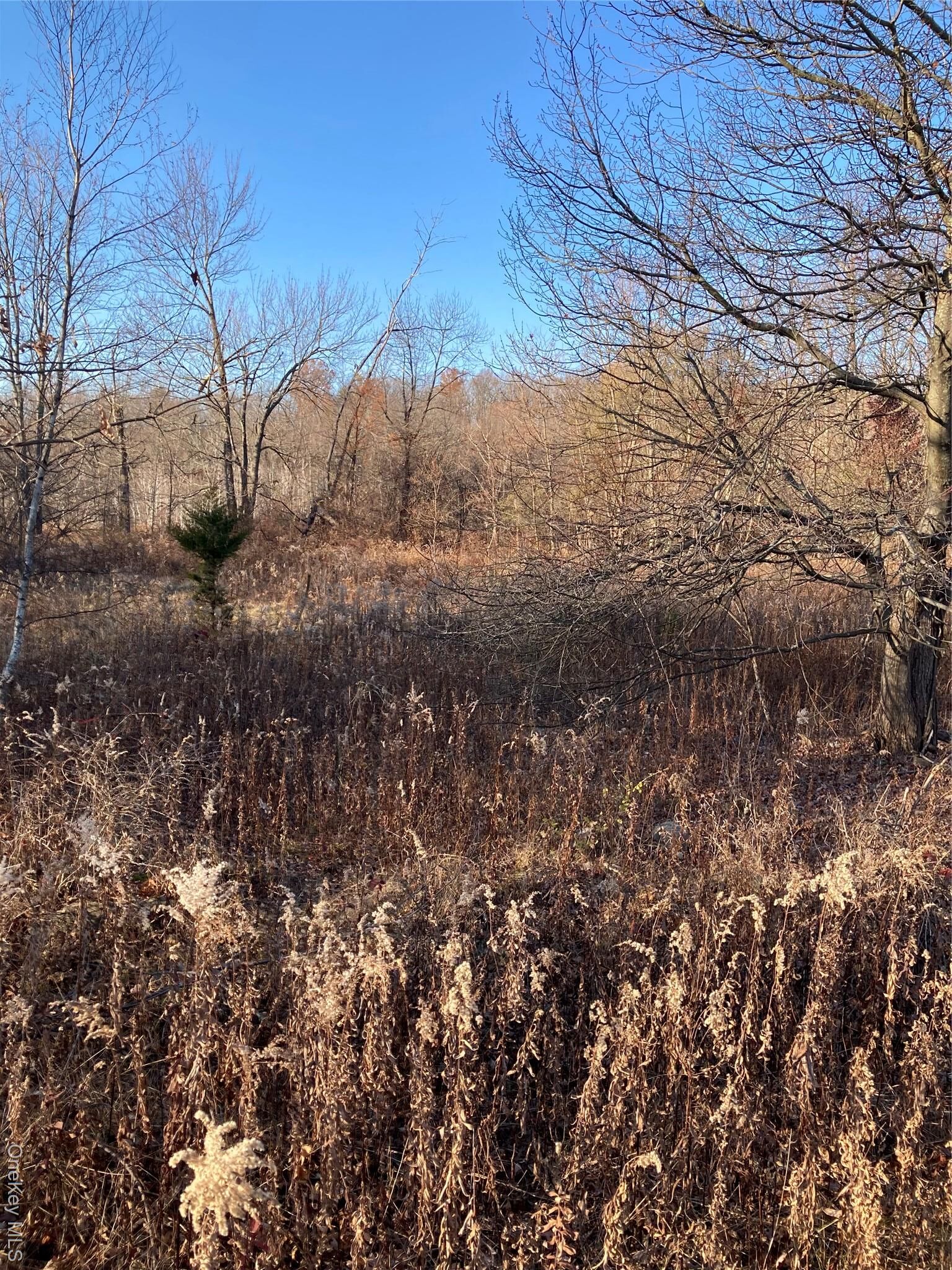 Property Photo:  Pocatello Road Pocatello Road  NY 12566 