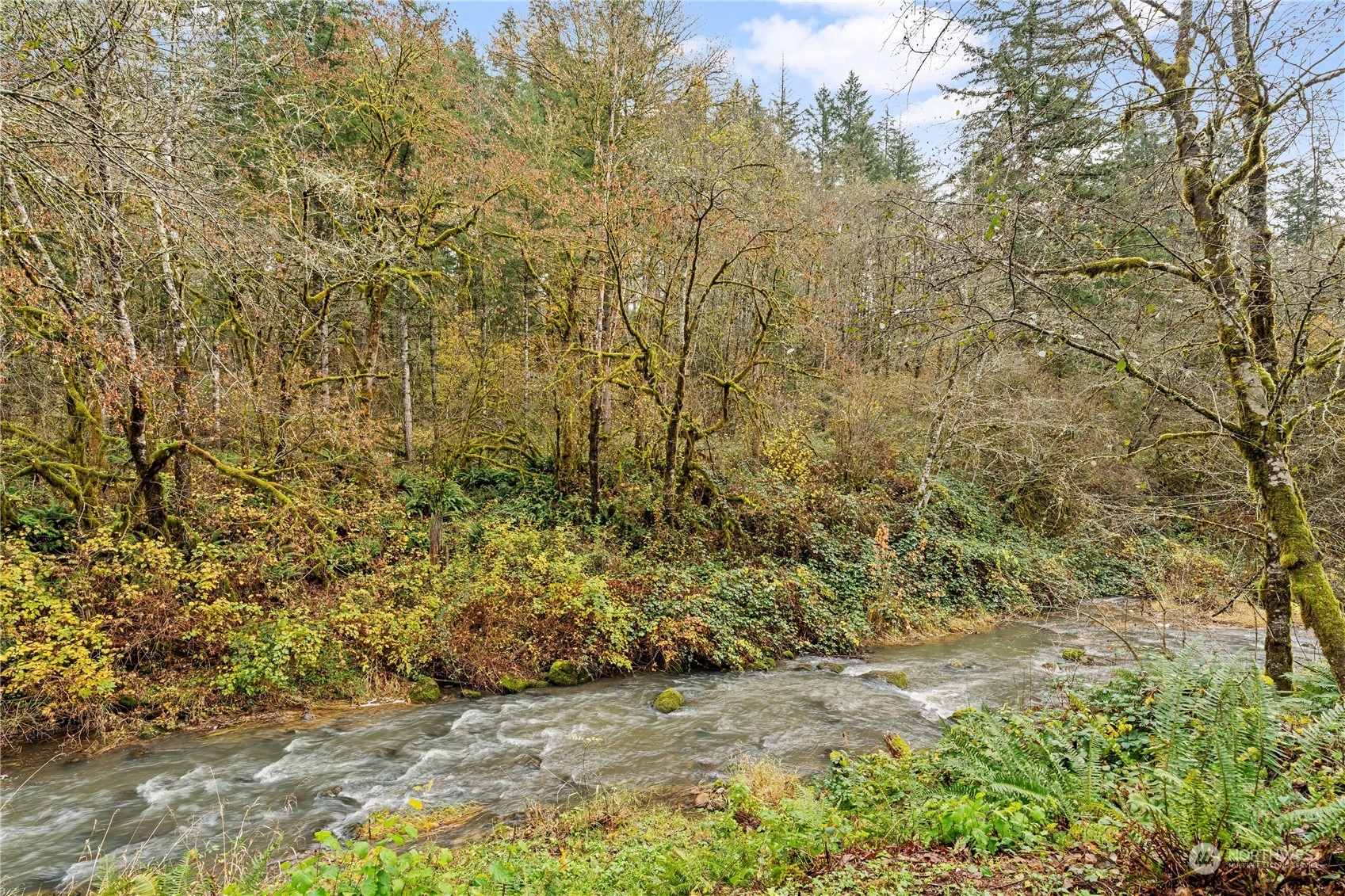 Property Photo:  30521 NE 147th Court  WA 98604 