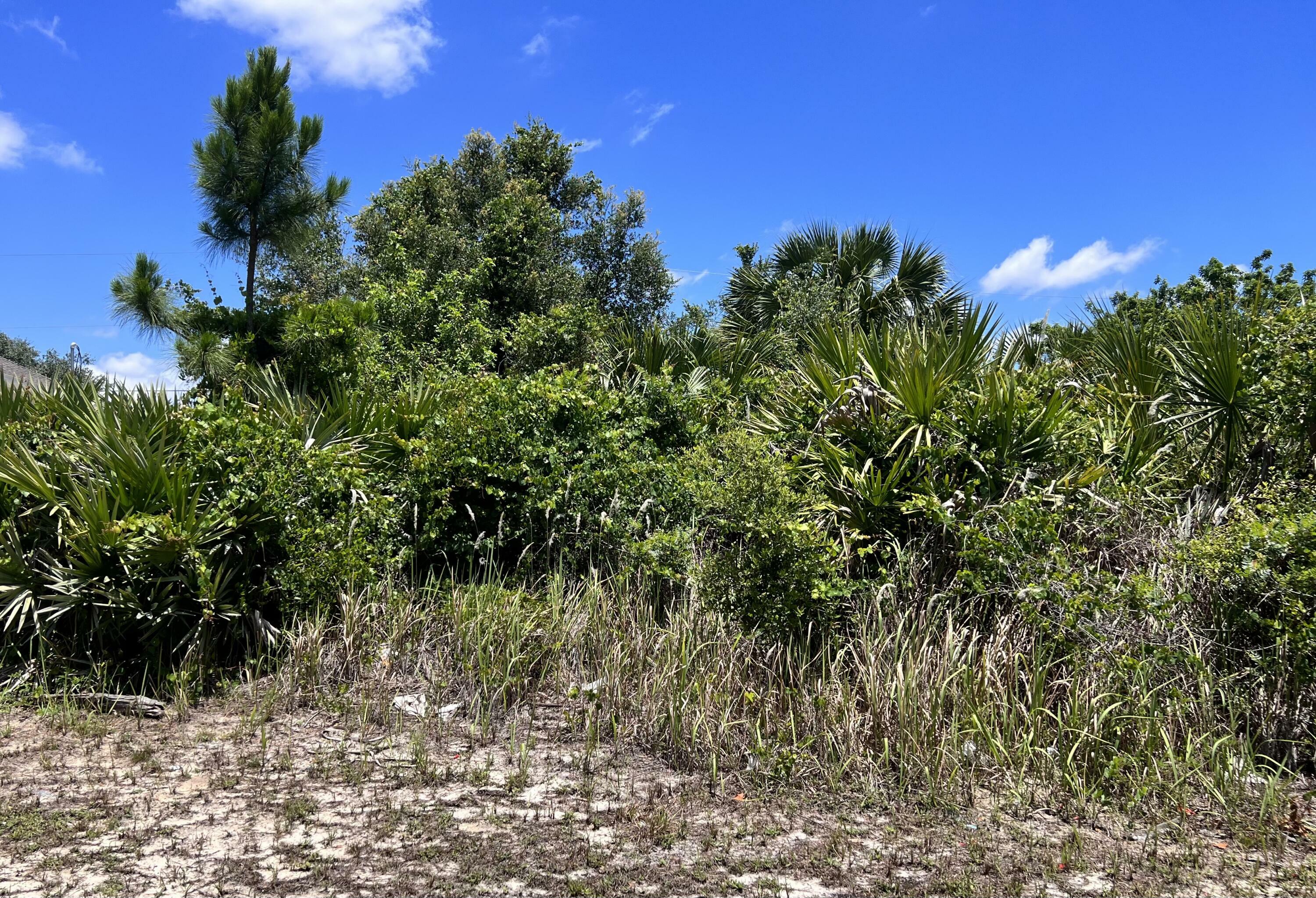 Property Photo:  27131 Corinthian Drive  FL 33955 