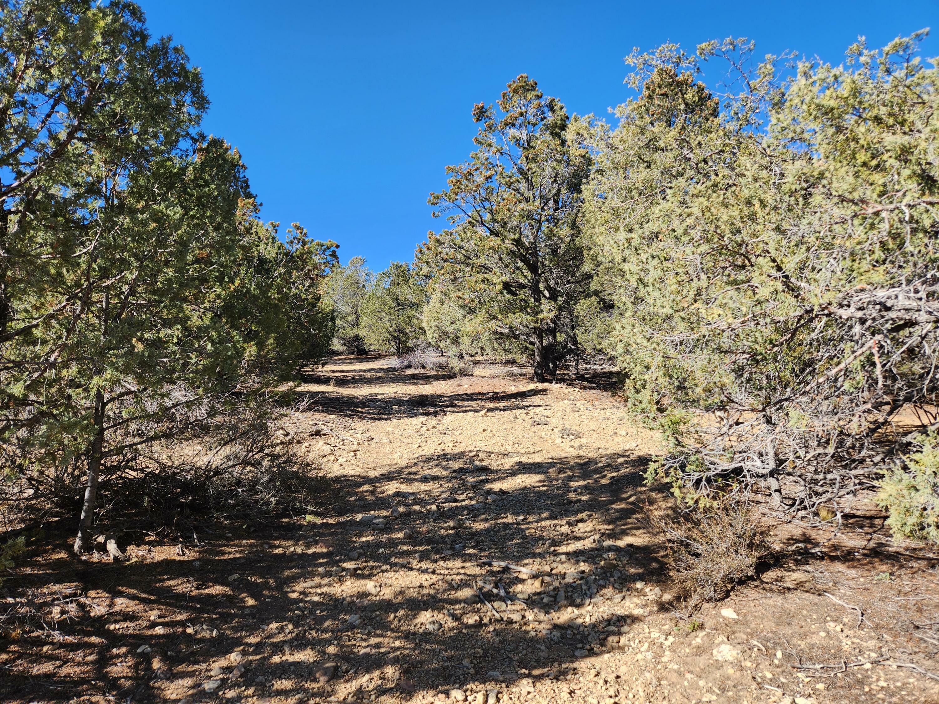 Property Photo:  1765 W Pinyon Hills Rd E  UT 84735 