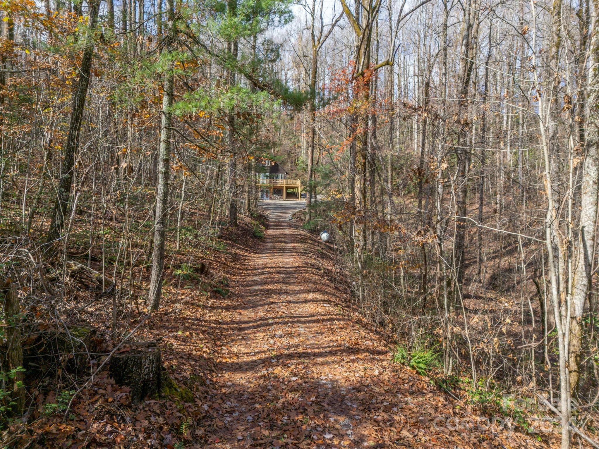 Property Photo:  103 Orchard Mountain Road  NC 28773 