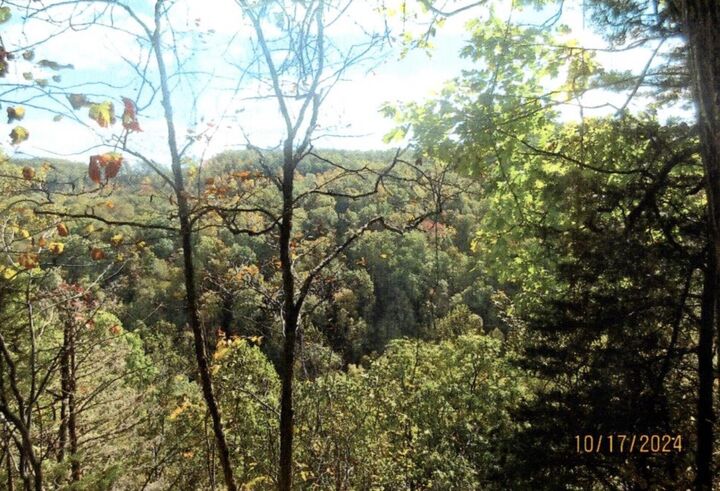 Property Photo: 0 Halls Branch Road KY 40380
