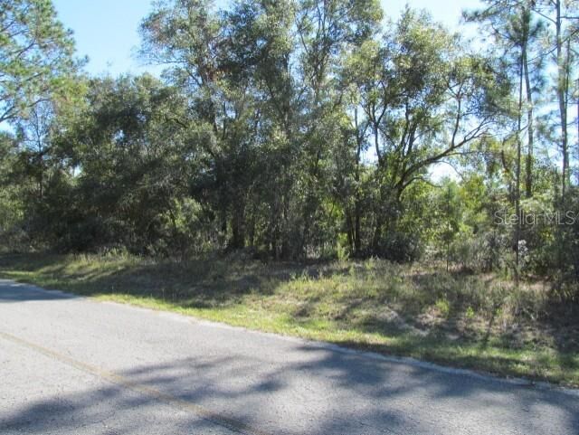 00 SE 169th Court  Ocklawaha FL 32179 photo