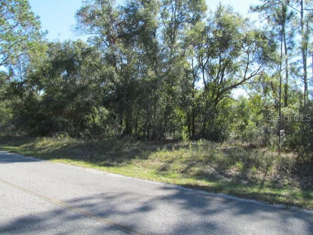 Property Photo:  00 SE 169th Court  FL 32179 