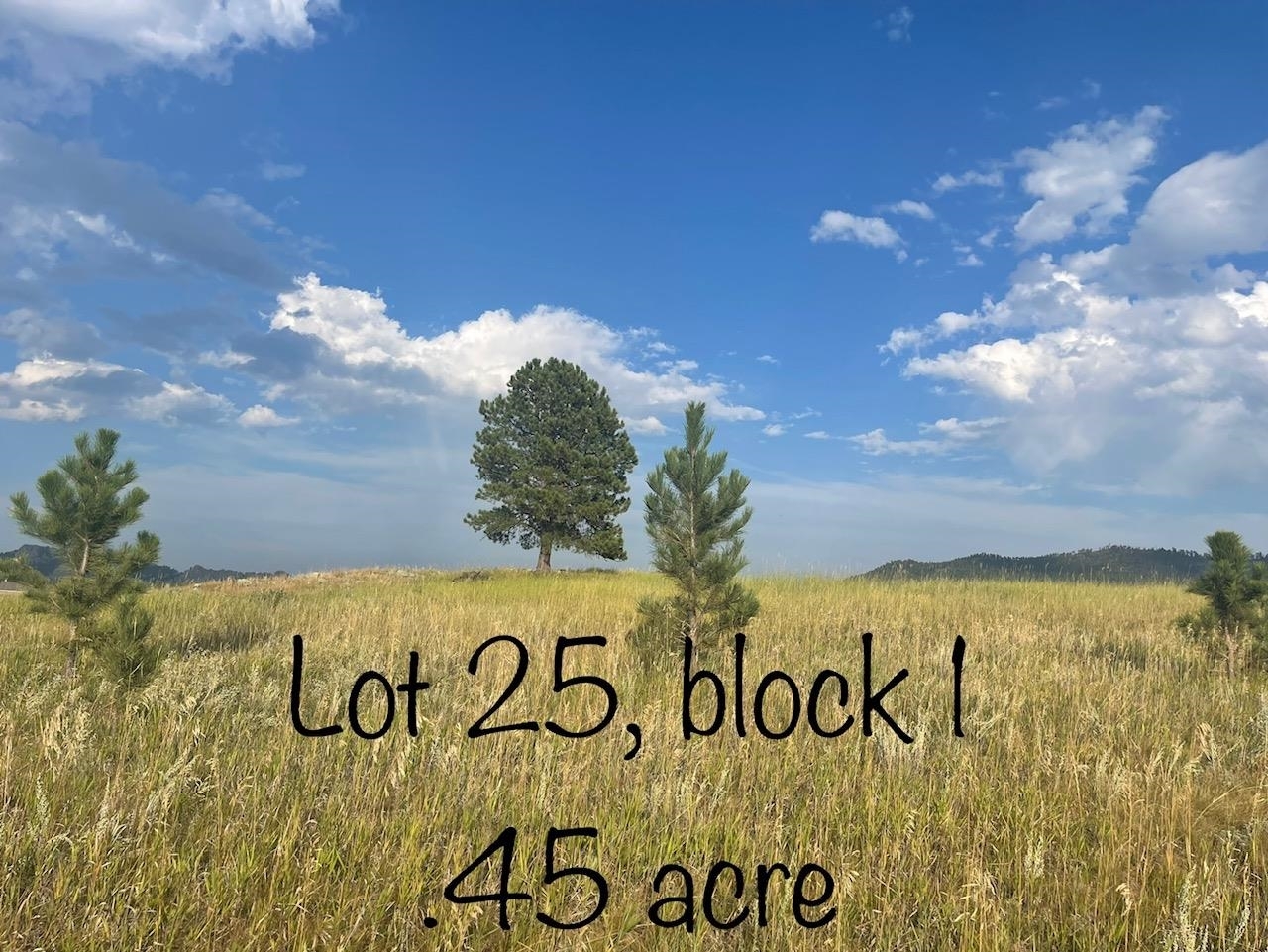 Lot 25 Block 1 Park Avenue  Custer SD 57730 photo