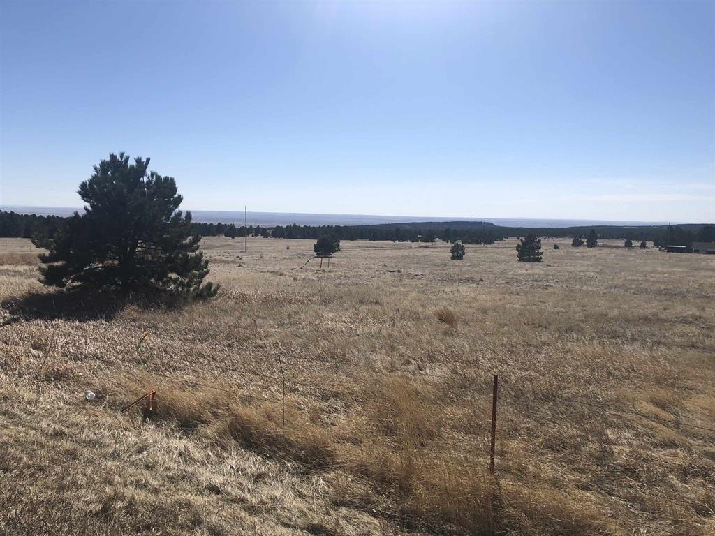 Lot #4  Newcastle WY 82701 photo