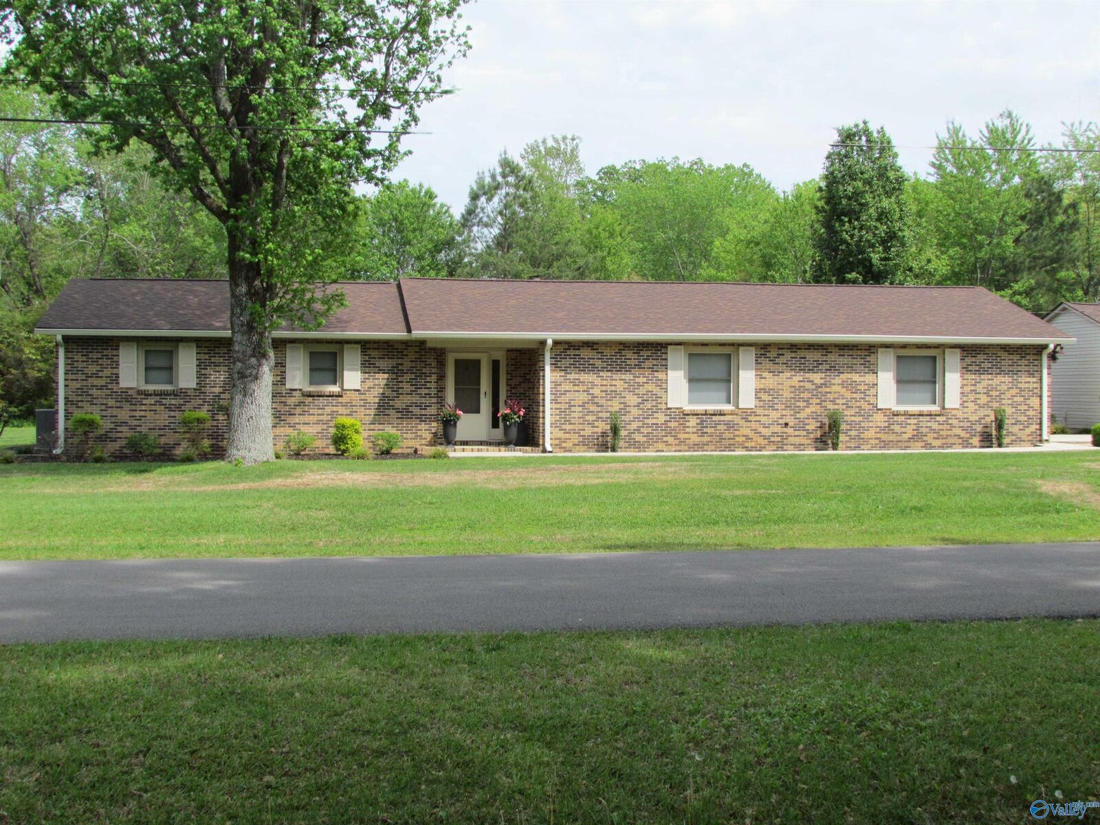 Property Photo: 39 Tim Avenue AL 35603