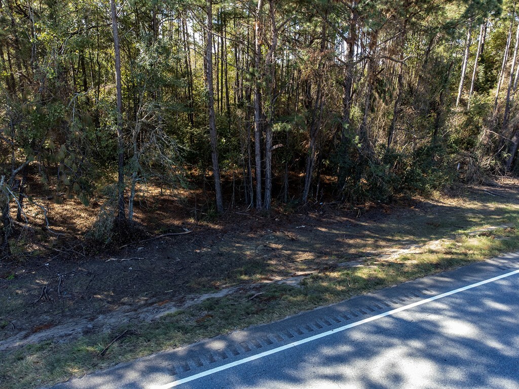 Property Photo:  10988 Albany Highway  GA 39842 