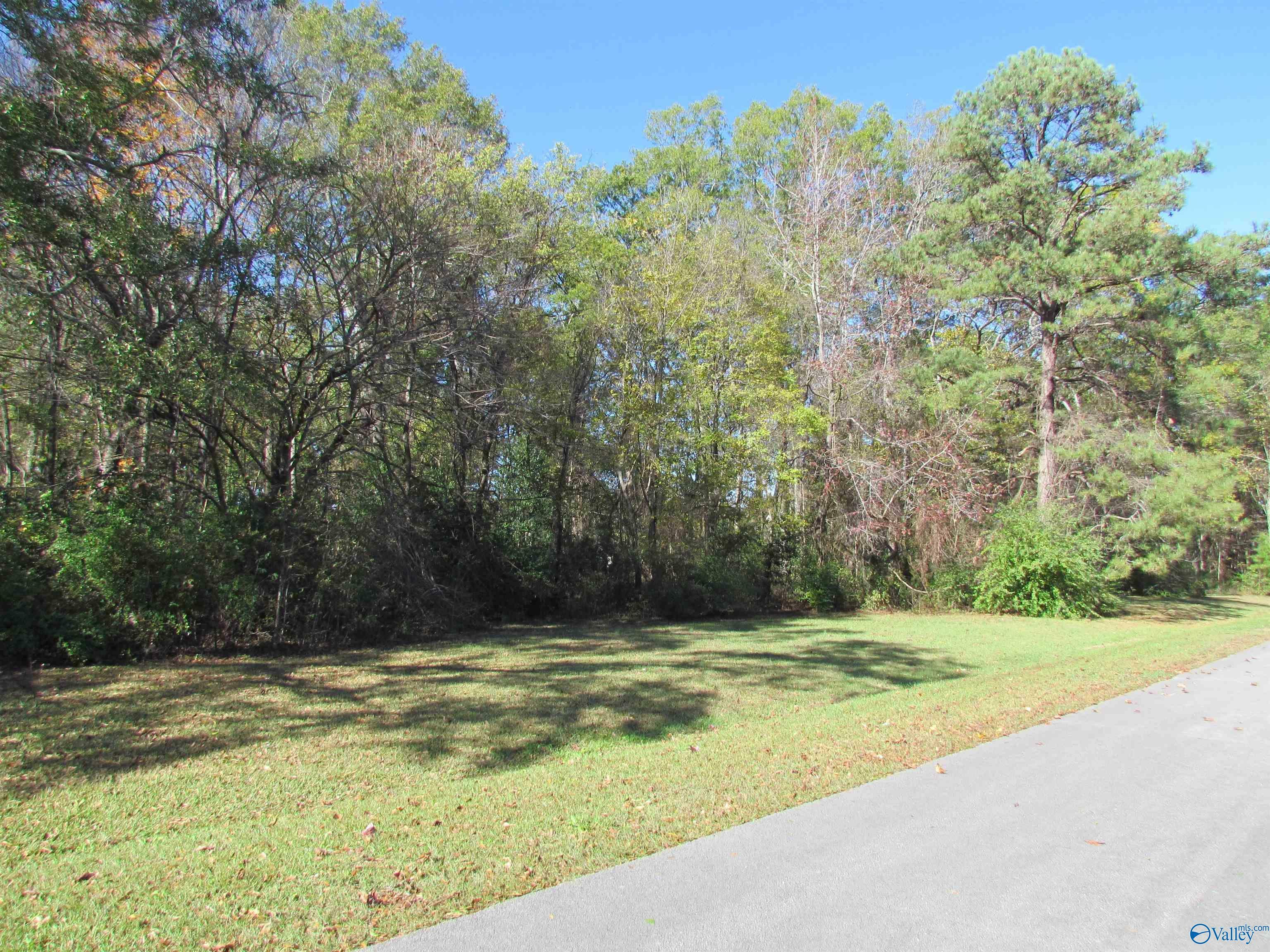 Property Photo:  Lot 14 Tim Avenue  AL 35601 