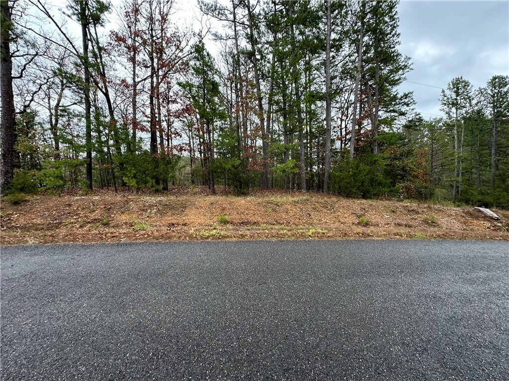 Property Photo:  Tbd Horseshoe Bend Road  AR 72770 