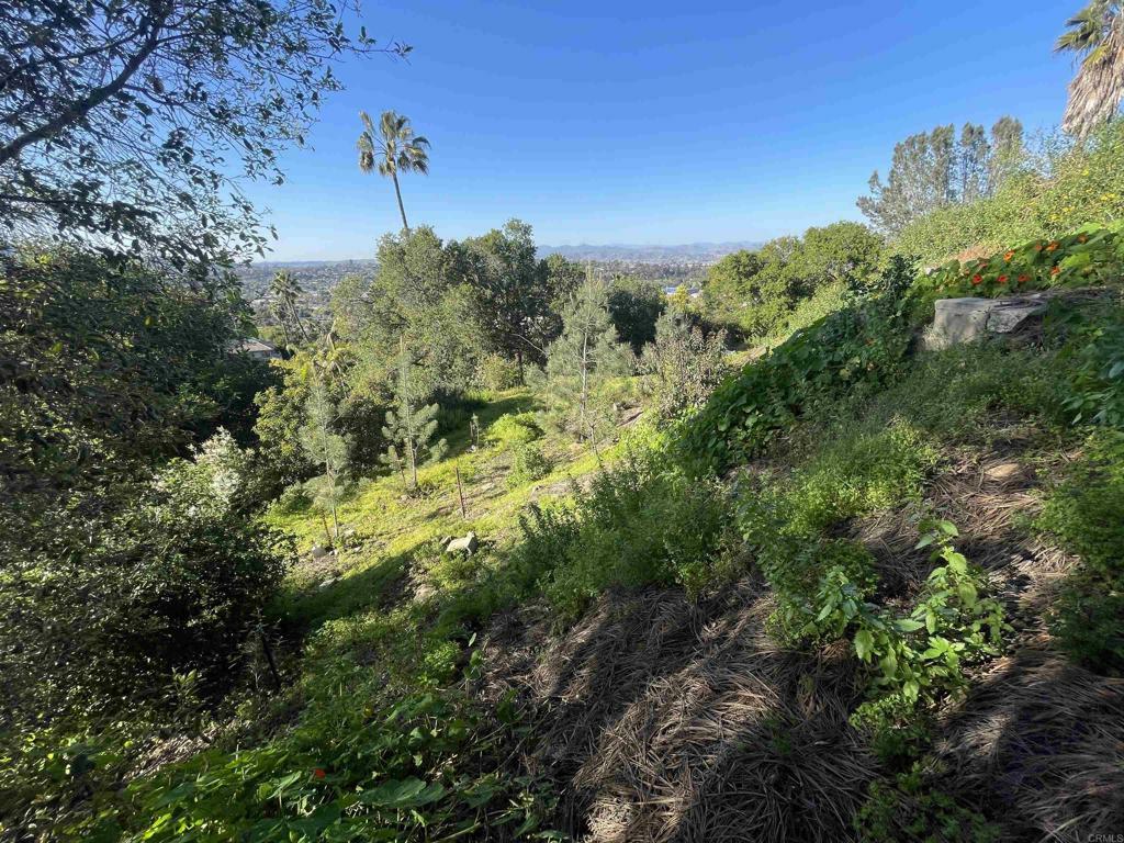 Property Photo:  0 El Granito Avenue  CA 91941 